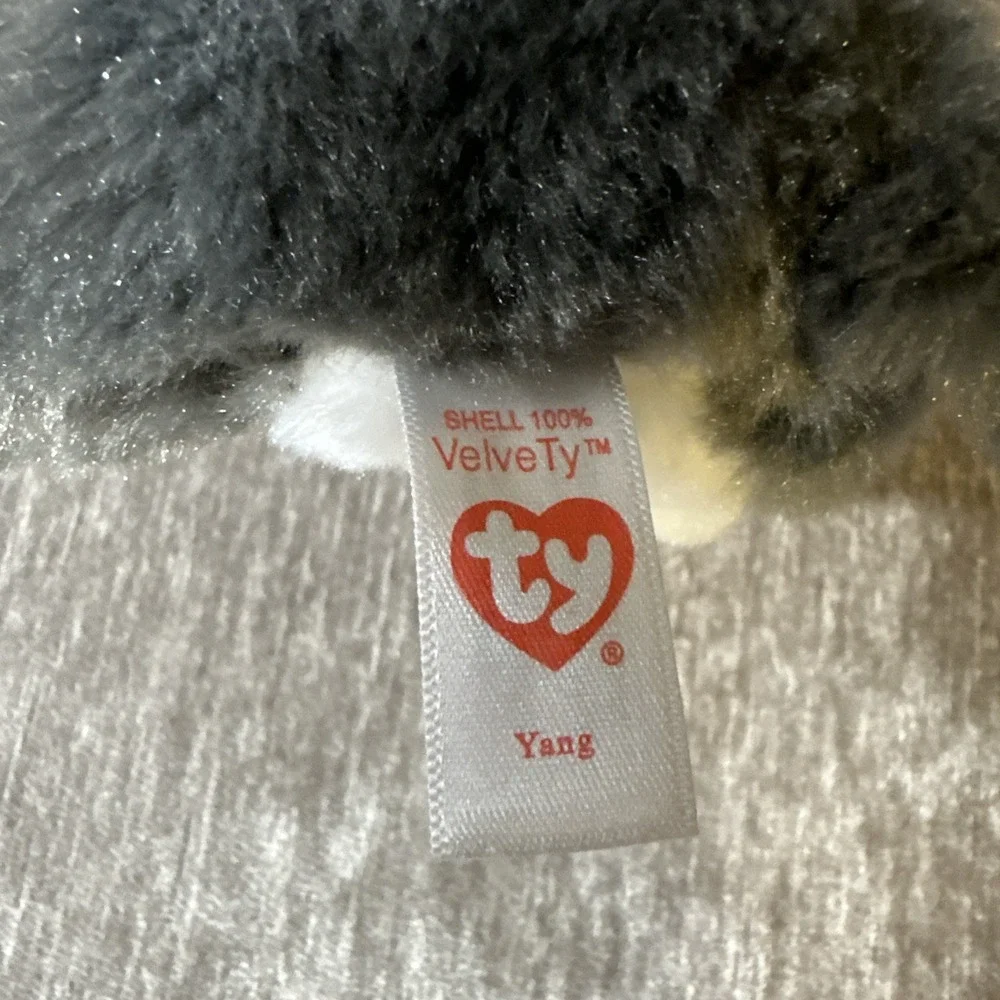 TY Beanie Babies Yang Plush Cat Gray‎ White Velve TY Kitten 6